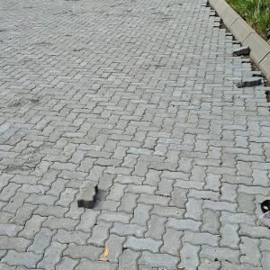 iConic Zig Zag Pavers (225x 112.5x 60mm)